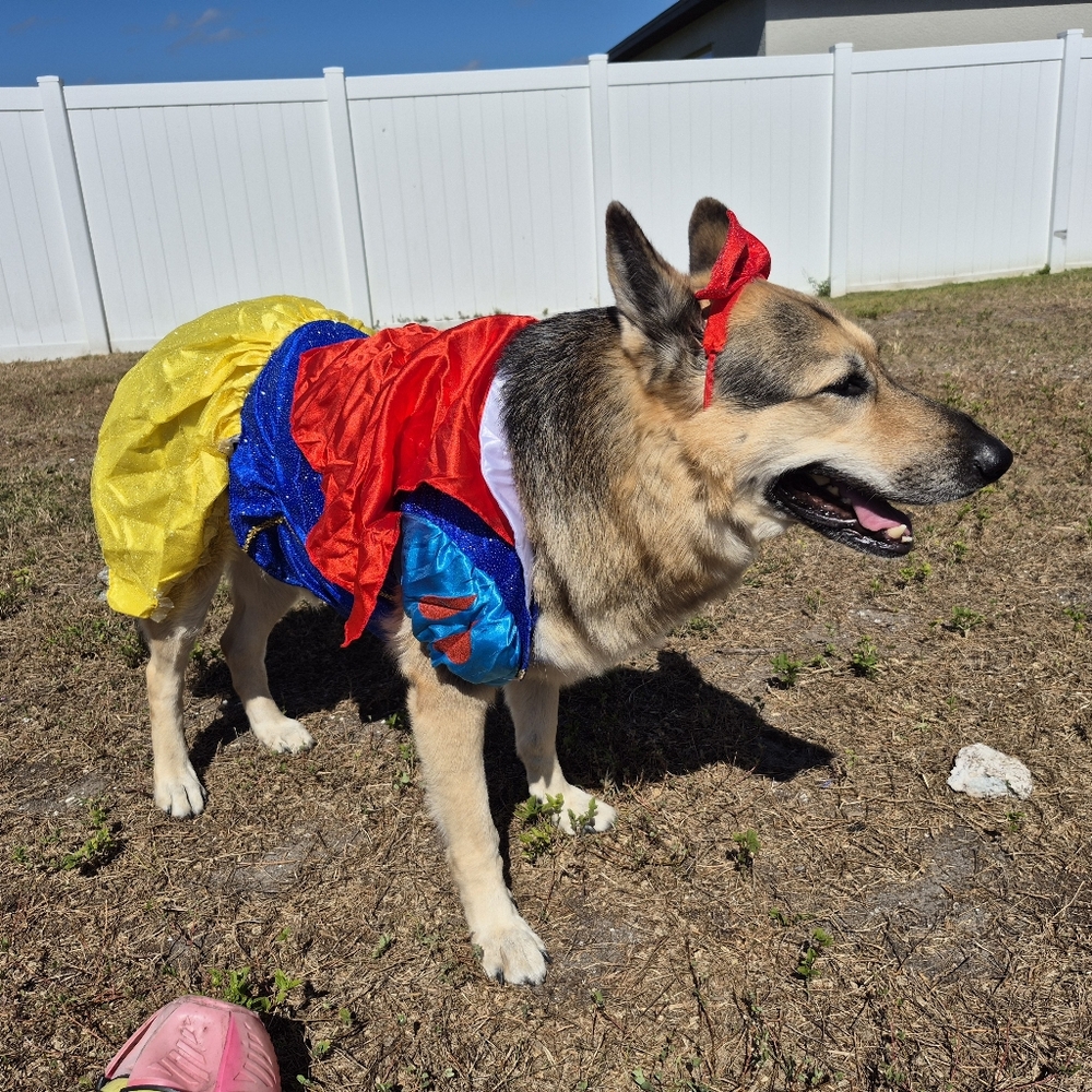 MISS RUBY - Picture 5 of 16